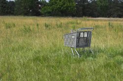 Shopping Cart Abandoned Field Meme Template
