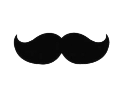Mario Mustache Meme Template