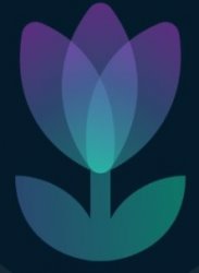 Tulip protocol Meme Template
