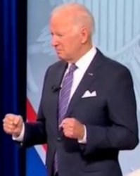 bidenholio says Meme Template