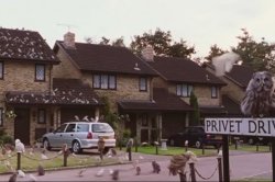 Owls on Privet Drive Meme Template