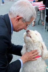 Fauci with dog Meme Template