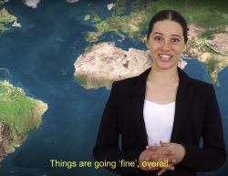 Things are going 'fine', overall Meme Template