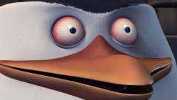 Penguins of madagascar skipper red eyes Meme Template
