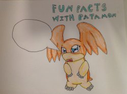 Fun facts with Patamon Meme Template