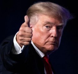 Trump thumbs up Meme Template