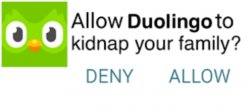 allow duolingo to kidnap your family? Meme Template