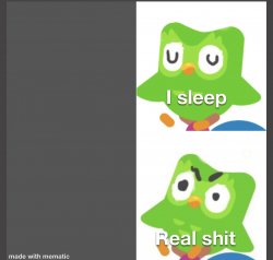 Sleeping duo Meme Template