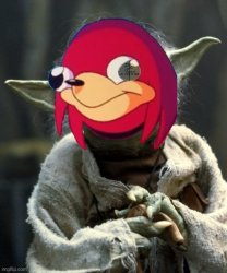 Ugandan knuckles yoda libertarian alliance Meme Template