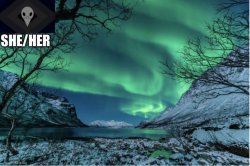 Northern Lights Termcollector Template Meme Template