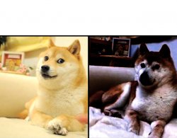 Doge and traumatized doge Meme Template
