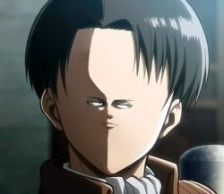 Small Levi Face Meme Template