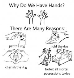 Forfeit all mortal possessions to dog Meme Template