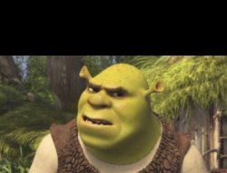 Shrek Concerned Meme Template