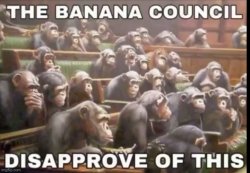 The banana council disapproves of this Meme Template