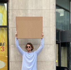 Toni Ann Meme Template