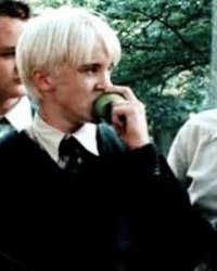 DRACO EATING ADAM Meme Template