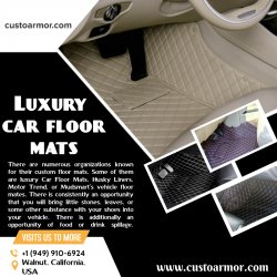 Luxury car floor mats Meme Template