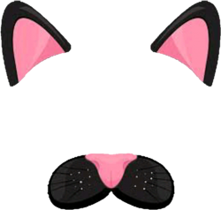 cat ears Meme Template