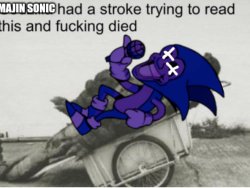 Majin Sonic had a stroke trying to read this and fucking died. Meme Template