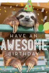 Sloth birthday Meme Template
