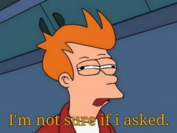 I'm not sure if i asked fry Meme Template