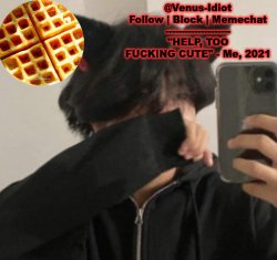 my waffle temp bc im a SIMP Meme Template