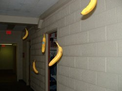 Flying bananas Meme Template