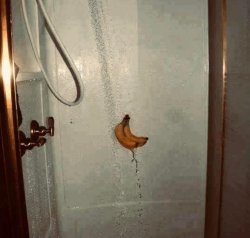 Banana shower Meme Template