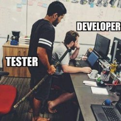 developer tester Meme Template