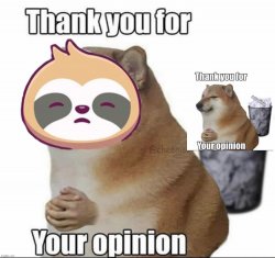 Sloth thank you for your opinion Meme Template
