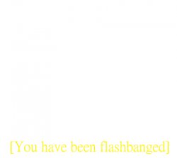 you have been flashbanged Meme Template