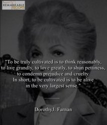 Dorothy J. Farnan quote Meme Template