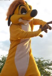 Andrew Taylor as Timon Meme Template