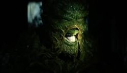 SWAMPTHINGG Meme Template