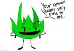 grassy cares little about your opinion Meme Template