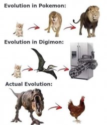 Actual evolution Meme Template