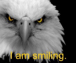 Smiling Eagle Meme Template