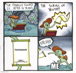 homework Meme Template
