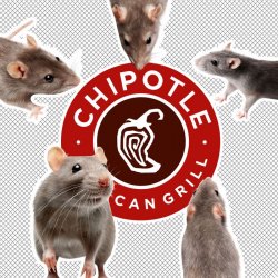 rats taking over Chipotle Meme Template