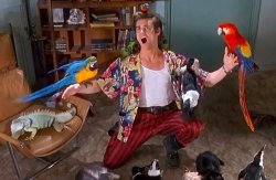 Ace Ventura Birds Meme Template