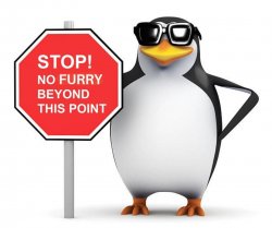 No Furry Penguin Meme Template