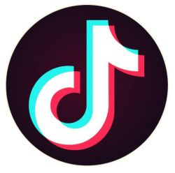 TikTok Circle Logo Meme Template