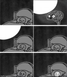 Check your phone at night brain Meme Template