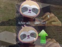 Sloth after all why not upvote F gravestone Meme Template