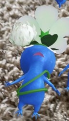 Pikmin Meme Template