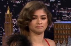 Zendaya disapproves Meme Template