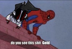 do you see this shit Gold Meme Template