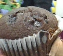 Idiot Muffin Meme Template