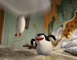 Penguins pillow fight Meme Template